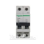 فیوز مینیاتوری دو پل 16 آمپر اشنایدر مدل C60N - Image 2